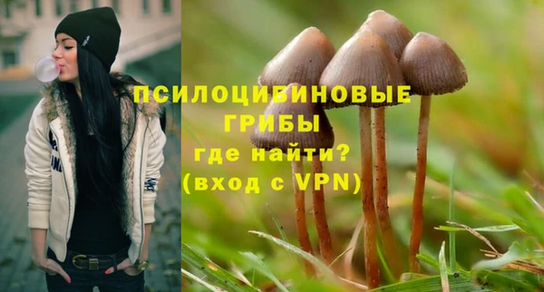 мяу мяу мука Балабаново
