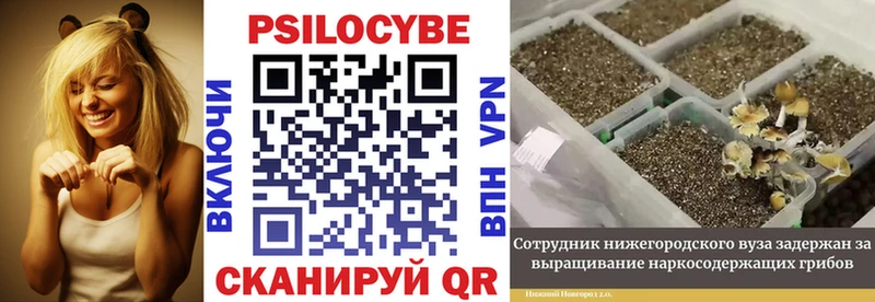 Галлюциногенные грибы GOLDEN TEACHER Калининец